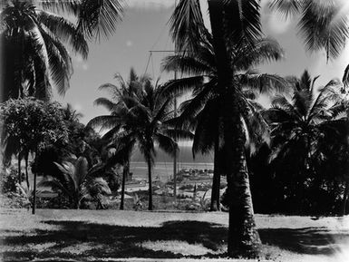 [View of palm trees and ships docked in a port, Papeete, Tahiti]