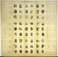 Ethnographic tableau: Specimens of various races of mankind