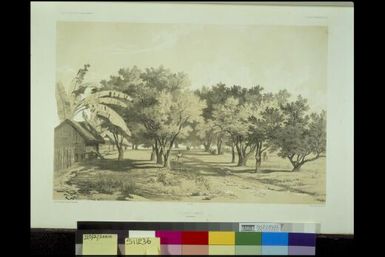 Village d'Umata, Ile Gouaham / dessine par E. Goupil ; lith. par E. Lassalle