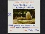 Fish traps in Rabaul area, each group also makes its own canoes, Apr 1965