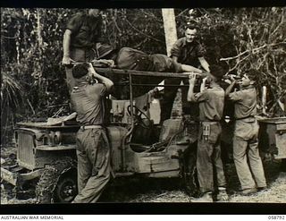 DUMPU, NEW GUINEA, 1943-10-10. WOUNDED ARRIVING ON A STRETCHER AT HEADQUARTERS, 21ST AUSTRALIAN INFANTRY BRIGADE, ON A CONVERTED JEEP