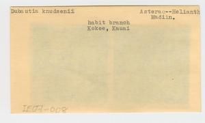 [Dubautia knudsenii in Hawaii, envelope IE07-008]