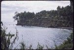 Kairiru Island: village and coconut palms on cliff by ocean