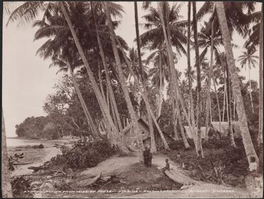 The village of Honggo viewed from the mission house, Florida, Solomon Islands, 1906 / J.W. Beattie