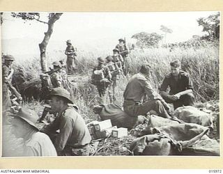 1943-10-15. NEW GUINEA. RAMU VALLEY. TROOPS ADVANCE THROUGH THE KUNAI GRASS. THIS IS TYPICAL OF THE COUNTRY FROM LAE TO MADANG EXCEPT FOR THE FINISTERRE RANGES. (NEGATIVE BY G. SHORT)