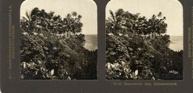 ["Samoa-Inseln, Apia, KÃ¼stenlandschaft."]