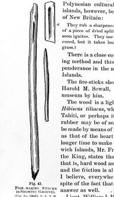 ["Fire making sticks, Samoa in Idough's Fire making appararatus"]