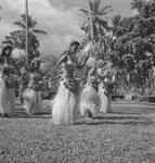 Tahiti dancers