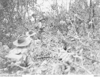 SATTELBERG AREA, NEW GUINEA. 1943-11-17. SX17852 PRIVATE D. C. MAHER. (1).: OF THE 2/48TH AUSTRALIAN INFANTRY BATTALION, WHO WAS WOUNDED IN ACTION, CAN BE SEEN MOVING OUT OF THE BATTLE AREA. ALSO ..