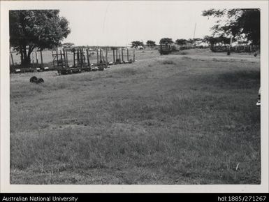 Cane Carriers, Lautoka Mill