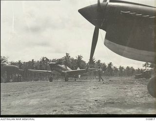 MOMOTE, LOS NEGROS ISLAND, ADMIRALTY ISLANDS. 1944-03-18. KITTYHAWK AIRCRAFT OF NO. 76 SQUADRON RAAF ON THE CORAL-SURFACED MOMOTE AIRSTRIP, BESIDE THE COCONUT PALM TREES, ONLY SIX DAYS AFTER THE ..