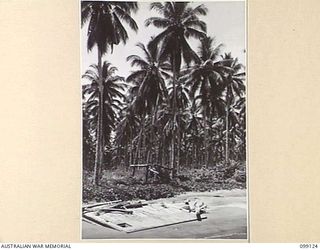 CAPE ENDAIADERE, BUNA-GONA AREA, NEW GUINEA. 1945-10-14. THE REMAINS OF AN OLD PONTOON AND AN OBSERVATION POST TOWER ON THE BEACH, THREE YEARS AFTER THE TIDE OF WAR HAD PASSED THE BUNA-GONA AREA. ..