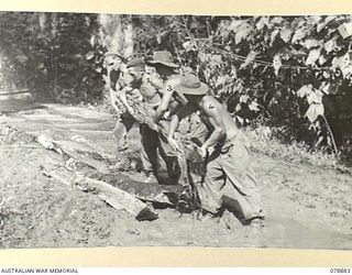 BOUGAINVILLE ISLAND. 1945-02-03. ENGINEERS OF THE 5TH FIELD COMPANY, LAYING SLEEPERS, CUT FROM LARGE JUNGLE LOGS, ALONG A MUDDY SECTION OF THE MAWARAKA- MOSIGETTA ROAD