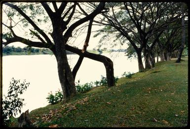 The river at Ba, Fiji, 1971