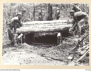 TOROKINA AREA, BOUGAINVILLE ISLAND. 1944-11-29. TROOPS OF NO.18 PLATOON, D COMPANY, 9TH INFANTRY BATTALION CONSTRUCTING LARGE FOXHOLES ON LITTLE GEORGE HILL IMMEDIATELY AFTER ITS CAPTURE FROM THE ..