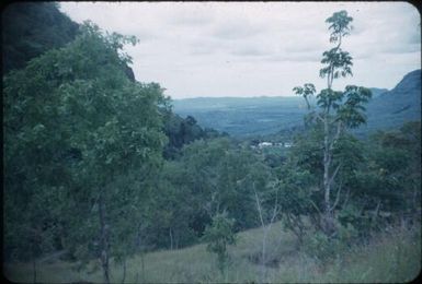 Vegetation near Port Moresby, looking down on the town : Papua New Guinea, 1953 / Terence and Margaret Spencer