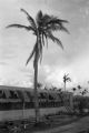 Guam, destruction caused by the 1940 typhoon