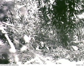 THE SOLOMON ISLANDS, 1945-05-02. AN AUSTRALIAN SOLDIER WITH HIS BREN GUN MOUNTED BEHIND COVER ON BOUGAINVILLE ISLAND. (RNZAF OFFICIAL PHOTOGRAPH.)