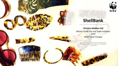 Shell bank - Marine turtle use and trade initiative lead WWF-Coral triangle