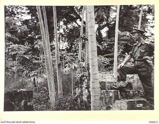 KOKOPO AREA, NEW BRITAIN. 1945-09-16. MAJOR A.A. ROBERTS, AUSTRALIAN NEW GUINEA ADMINISTRATIVE UNIT, ON THE STEPS WHICH LED TO HIS PRE WAR HOME AT KOKOPO. IT WAS BLASTED OFF THE MAP BY OUR BOMBERS