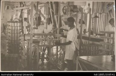 Cutting fingers, Pineapple Cannery