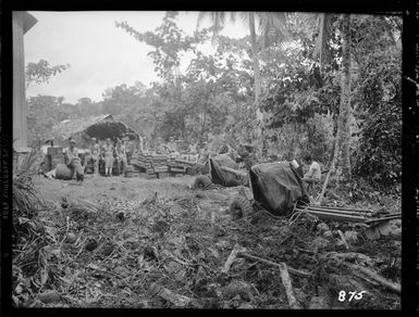 New Zealand soldiers and guns, Vella Lavella Island