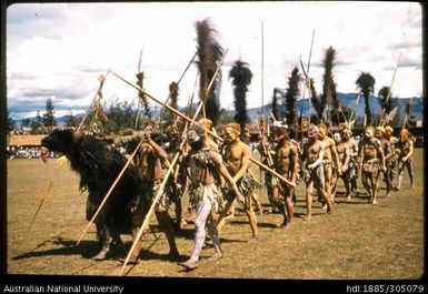 Muruk hunt, Goroka Show