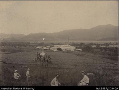 Labasa Mill