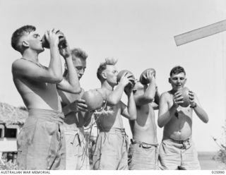 PARI BEACH, PAPUA. 1942-07-20. PERSONNEL OF 20 PLATOON, 49TH AUSTRALIAN INFANTRY BATTALION ENJOYING THE COOL MILK OF COCONUTS, THEY HAVE OBTAINED BY CLIMBING A NEARBY COCONUT TREE