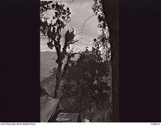 BULLDOG-WAU ROAD, NEW GUINEA, 1943-07-20. LOOKING DOWN THE ELOA BASIN FROM THE CAMP OF THE 9TH AUSTRALIAN FIELD COMPANY, 11TH AUSTRALIAN DIVISION. NOTE HEAVY MOSS GROWTH ON TREES AT THIS ALTITUDE