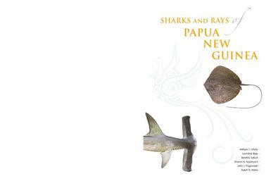 Sharks and Rays of Papua New Guinea
