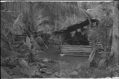 Garden houses and a shed (1) : Nissan Island, Papua New Guinea, 1960 / Terence and Margaret Spencer