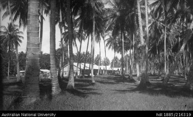 Palm trees and European-style buildings