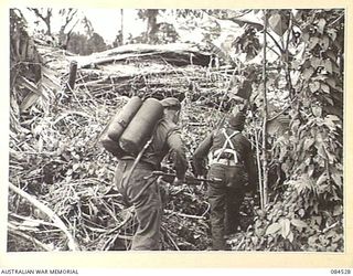 BOUGAINVILLE, SOLOMON ISLANDS. 1944-12-21. AUSTRALIAN TROOPS ADVANCING ON PILLBOXES DURING A PLATOON ATTACK DEMONSTRATION AT HEADQUARTERS 3 DIVISION