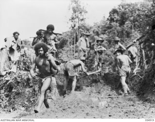 BULLDOG-WAU ROAD, NEW GUINEA, 1943-07-14. WHILE ENGINEERS OF HEADQUARTERS, ROYAL AUSTRALIAN ENGINEERS, 11TH AUSTRALIAN DIVISION WORK ON DIGGING ROAD OUT WITH HAND TOOLS AT THE 23 MILE POINT, THE ..