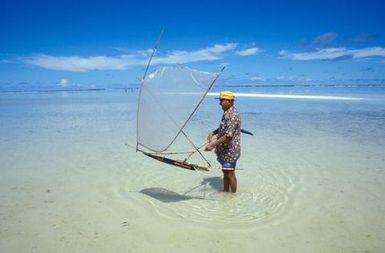 Canoes models