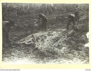 BOUGAINVILLE ISLAND. 1945-02-17. TROOPS OF THE 5TH FIELD COMPANY, SHOVELLING MUD FROM A SECTION OF THE MOSIGETTA ROAD IN AN EFFORT TO SALVAGE WIRE MESH WHICH HAS BEEN PUSHED DEEPLY INTO THE MUD ..