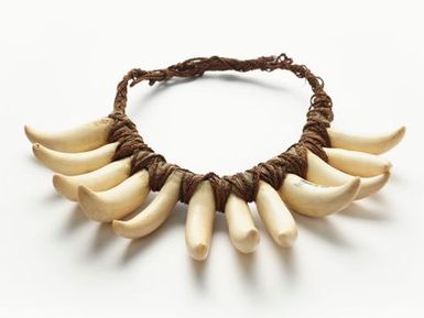 Vuasagale (sperm whale tooth necklace)