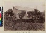 View of missionary's house, Port Moresby, Papua New Guinea, ca. 1890