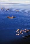 Canoes and swimmers next to Sankamap off Cartarets