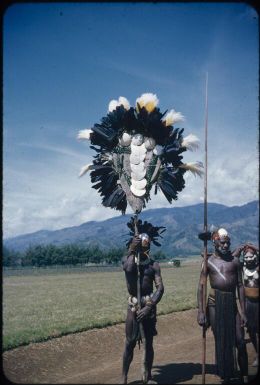 The bride payment, front view : Wahgi Valley, Papua New Guinea, 1955 / Terence and Margaret Spencer