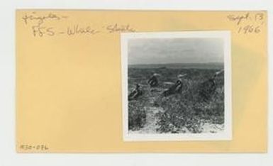 [Frigates in Hawaii, envelope IE30-076]]