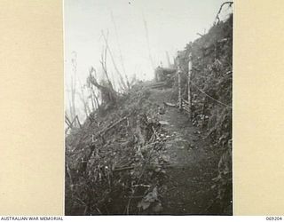 NEW GUINEA. APRIL, 1944. A SECTION OF THE TRACK MADE BY AUSTRALIAN TROOPS AROUND THE SUMMIT OF SHAGGY RIDGE PHOTOGRAPHED IMMEDIATELY AFTER THE BATTLE