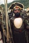 The headman at Iapi, adorned for parading, wears a large baler shell ornament, a wig adorned with marsupial fur, and red and white face paint