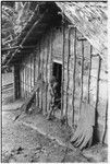 A family house, as viewed from the men's house. Child brings baby into the house