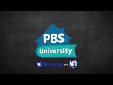 PBS University Kindergarten Week 7