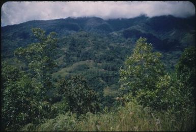 Singsing villages : Wahgi Valley, Papua New Guinea, 1954 and 1955 / Terence and Margaret Spencer
