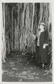 A sheltering nook in a banyan tree