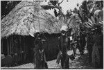 Pig festival, uprooting cordyline ritual: man holds folded pandanus inside split sticks, transporting feather valuables to be used in dance costume