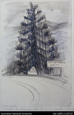 a monument to the exploring engineer [Patrol Officer, Rupert Roelof Haviland] stands at the top of the Kassam Pass - New Guinea